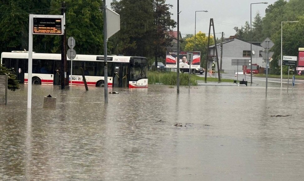 Liūties užpiltas Jast&scaron;embis Zdrujus Lenkijoje