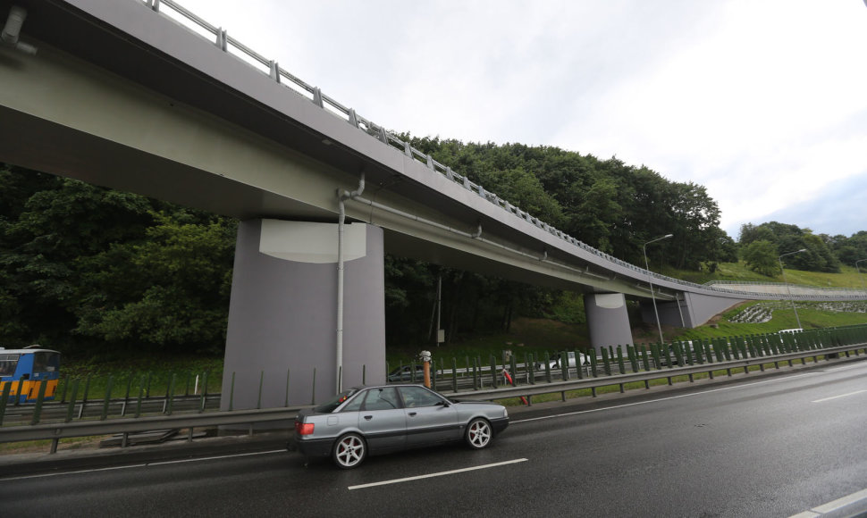 Viadukas tarp Geležinio Vilko ir A.Goštauto gatvių