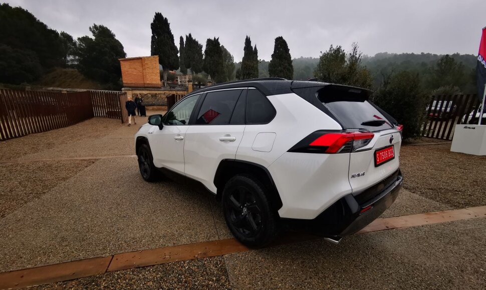 Penktos kartos &bdquo;Toyota RAV4 Hybrid&ldquo;