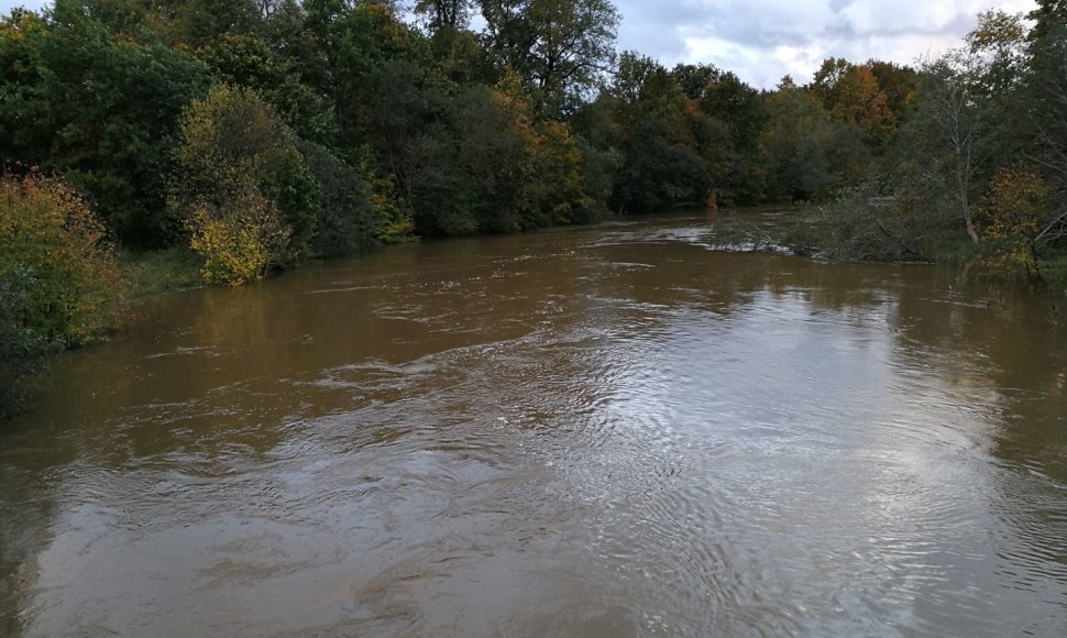 Danės upės vandens lygis dėl lietaus yra stipriai pakilęs.