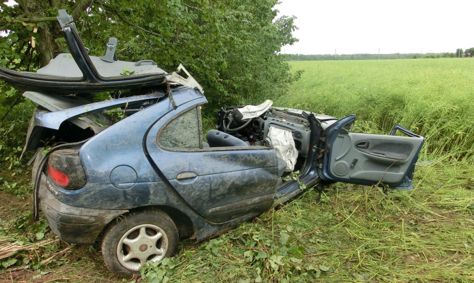 Kėdainių rajone į medį trenkėsi „Renault“