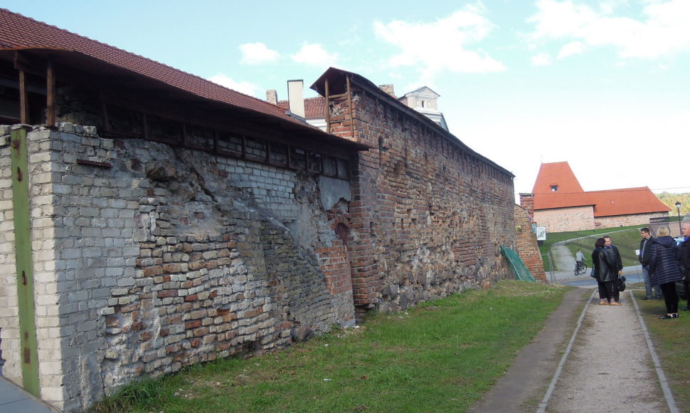 Vilniaus gynybinė siena