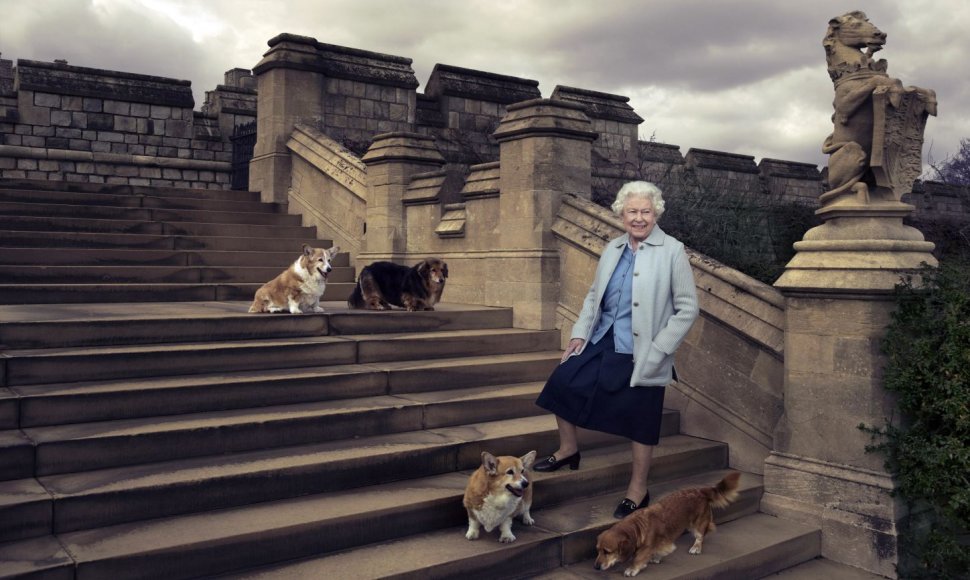 Karalienė Elizabeth II su dviem korgiais ir dviem dorgiais.