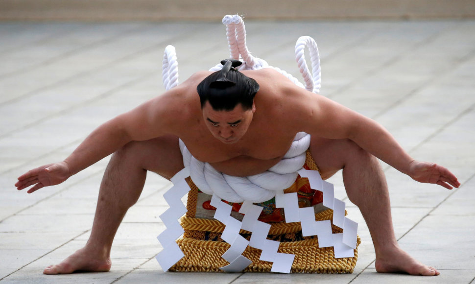 Harumafuji 