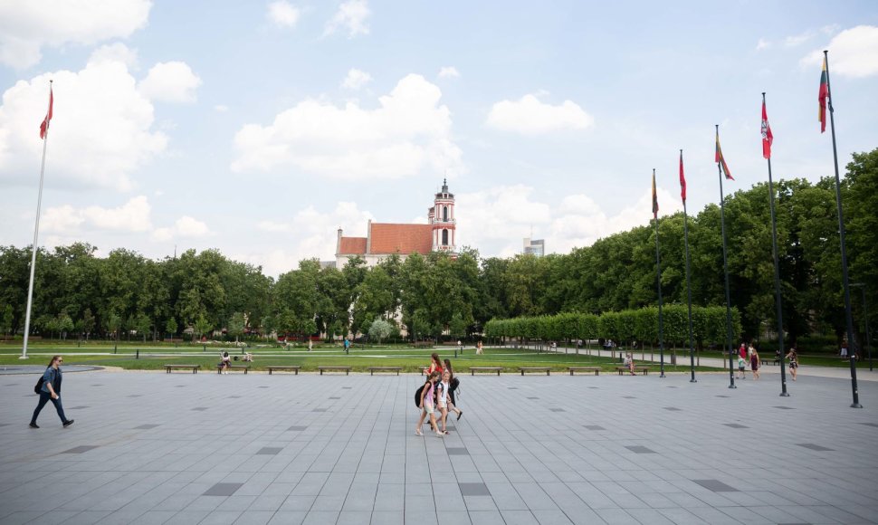 Piketas dėl laisvės kovų monumento statybos