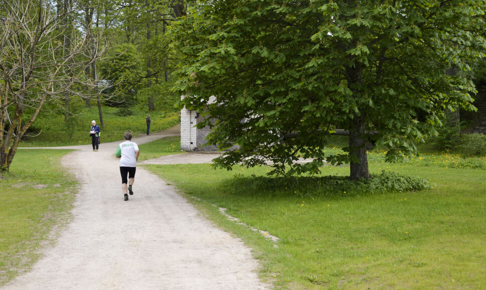 Pasaulinės orientavimosi sporto dienos karštligė