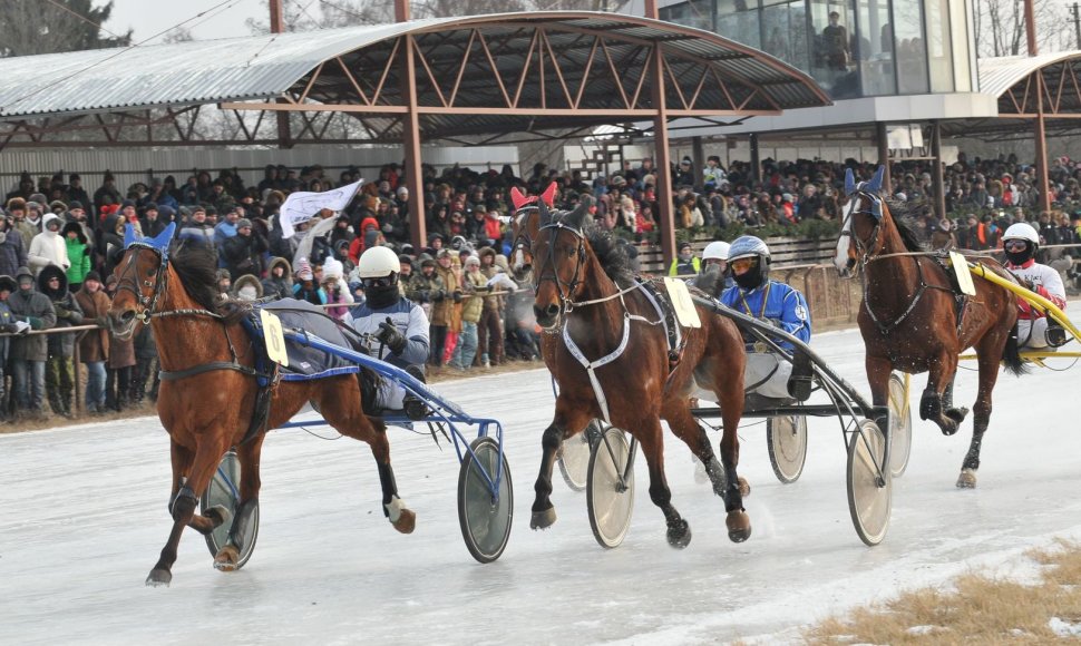 Žirgų lenktynės „Sartai 2014“ 2014 m. vasario 01 d. 