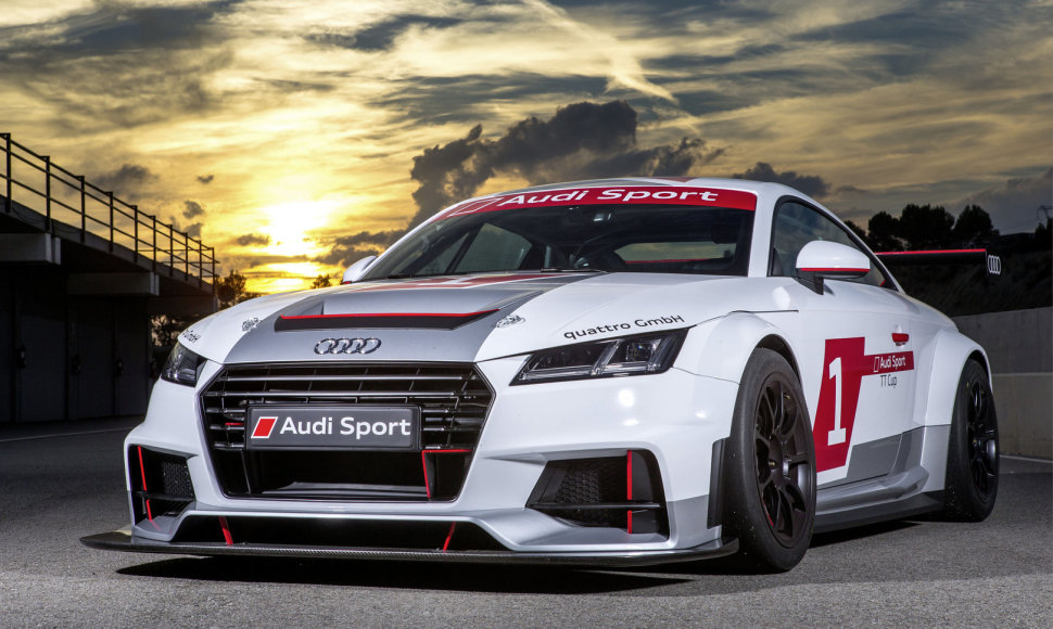 „Audi Sport TT Cup“