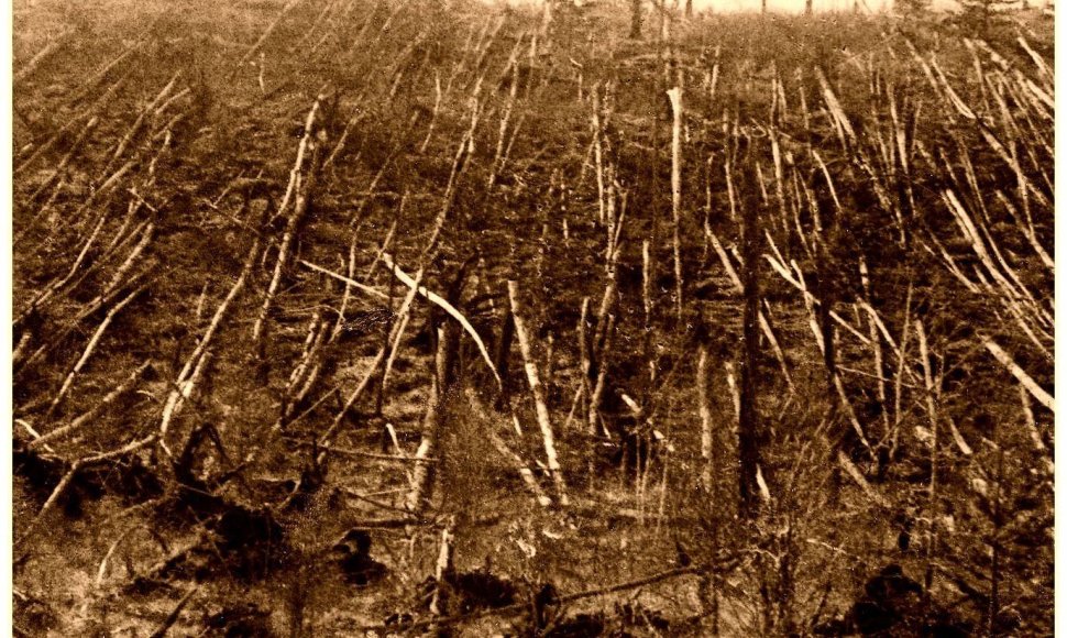 Didžiulis sprogimas 1908 m. birželio 30 d. rytą išguldė medžius prie Akmenuotosios Tunguskos, Vidurio Sibiro taigoje. Iliustracijos šaltinis: tunguska-photo.ru