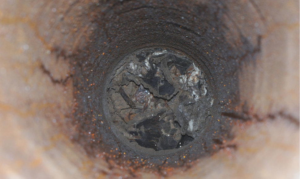 Bunkeryje įkalintos skruzdėlės