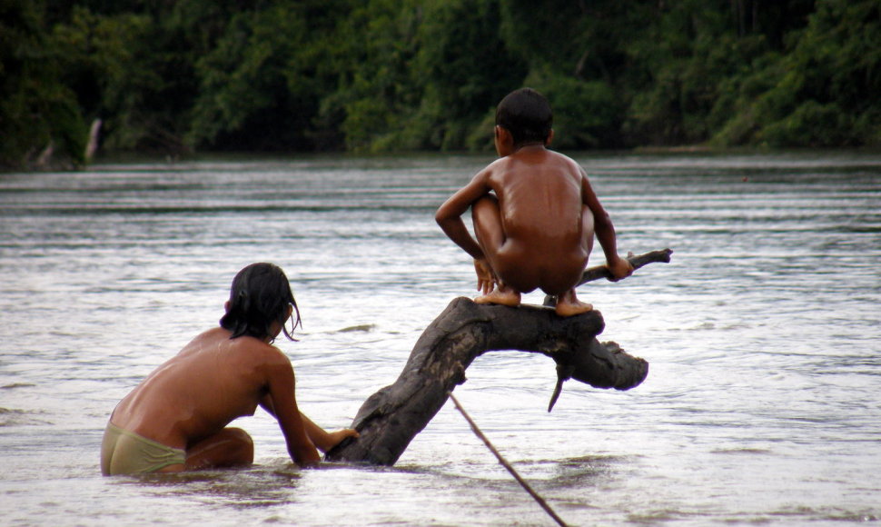 Ekspedicija Venesueloje – pas atokią janomamų gentį