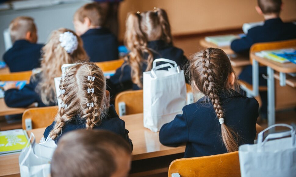 Mokykla / Andrius Ufartas nuotr.