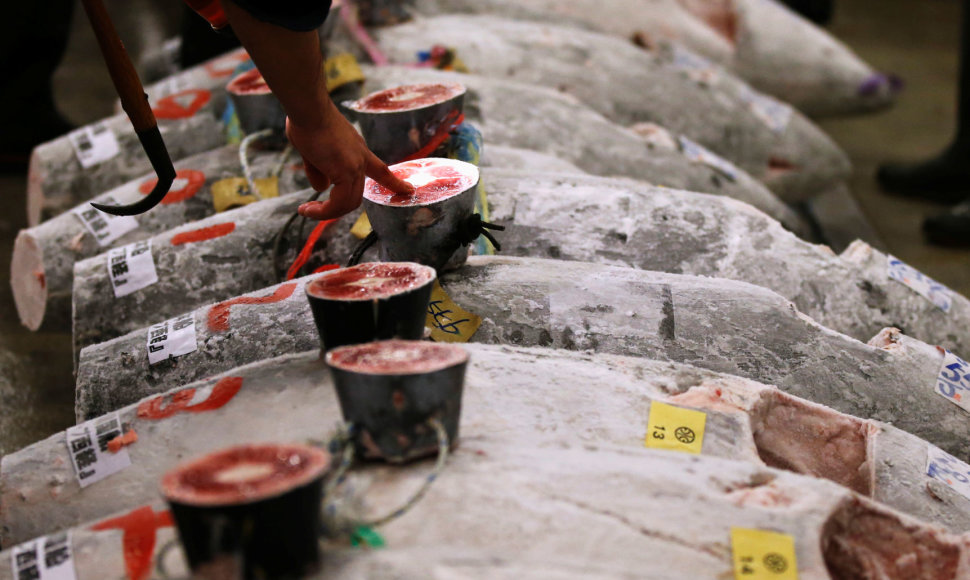 Cukidžio turgaus Naujųjų metų tuno aukcionas