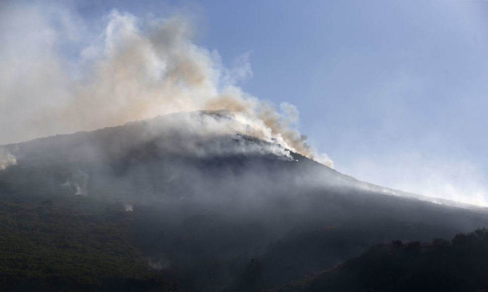 Prancūzijoje plečiasi miškų gaisrai