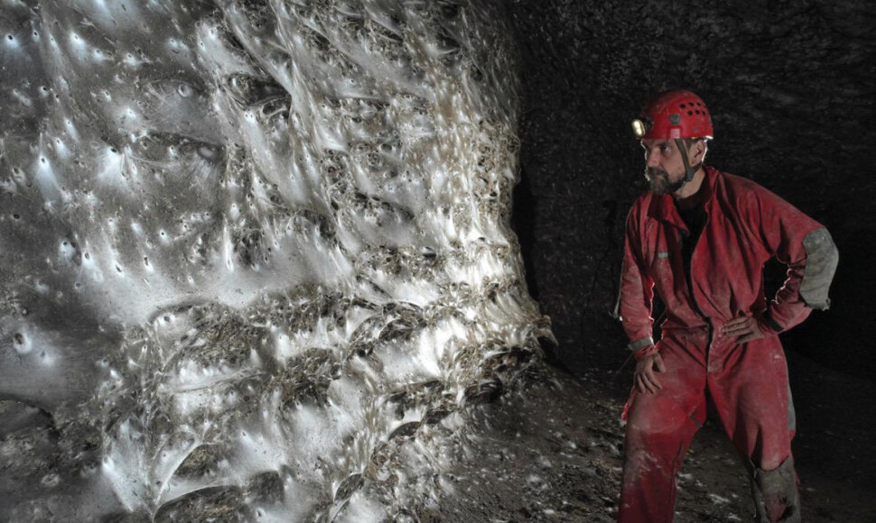Atrastas didžiausias pasaulyje voratinklis