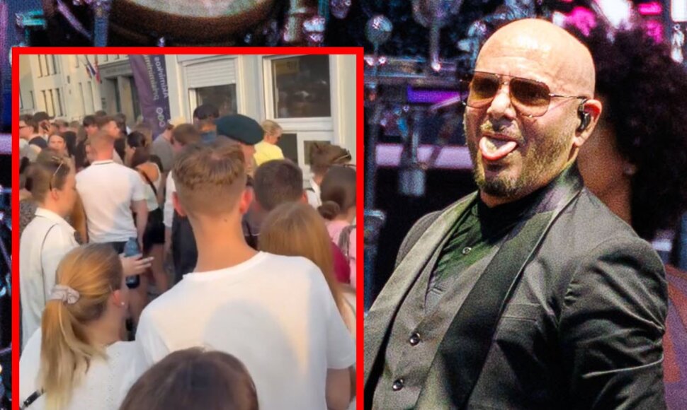 Pitbull koncerto akimirkos