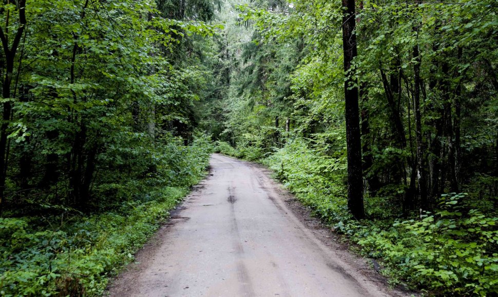 Kelionė dviračiu po Neries regioninį parką