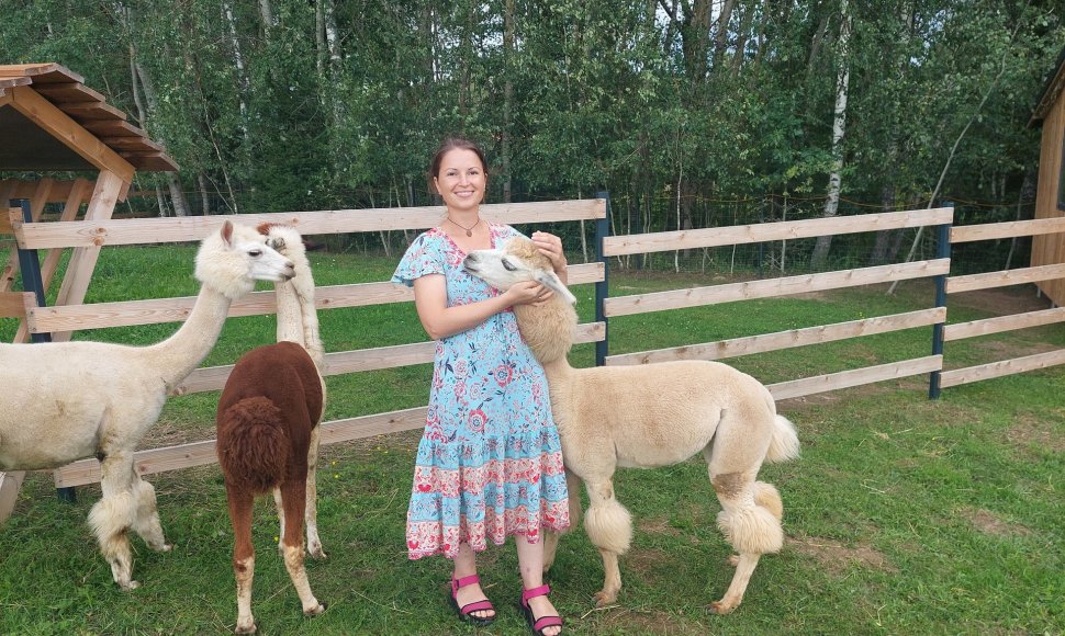 „Alpakų slėnis“, Meda Maželienė