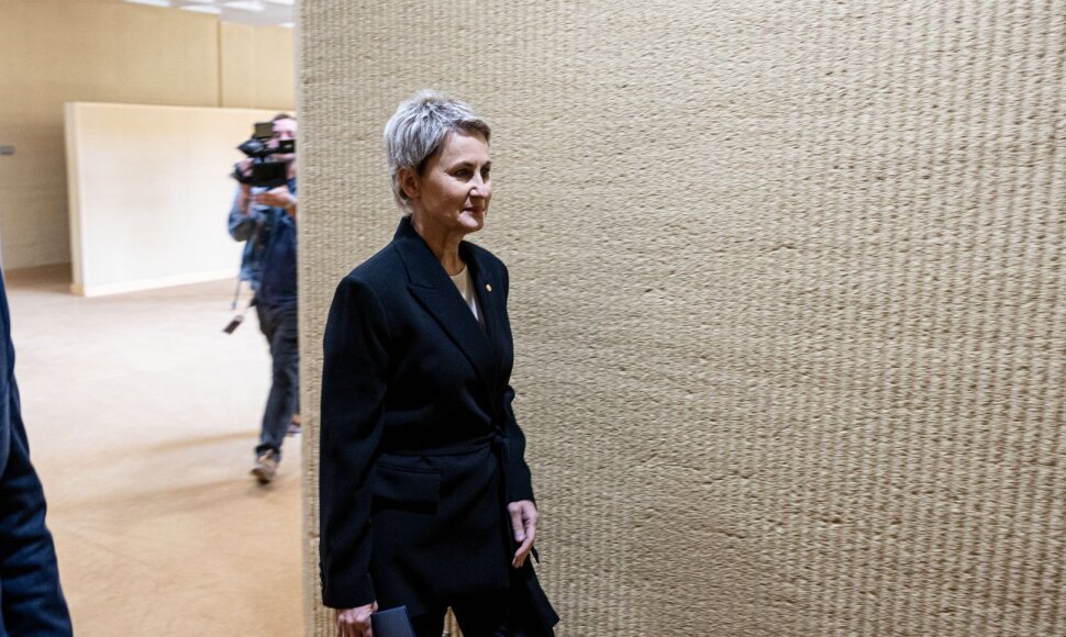 Nida Grunskienė atvyko į susitikimą su Seimo pirmininku