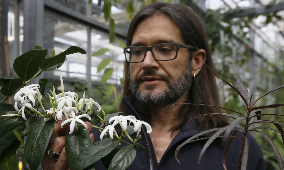 Penktadaliui pasaulio augalų gresia pavojus išnykti, perspėja britų mokslininkai