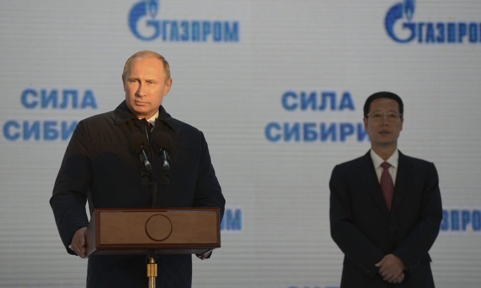 Rusijos prezidentas Vladimiras Putinas ir Kinijos vicepremjeras Zhang Gaoli