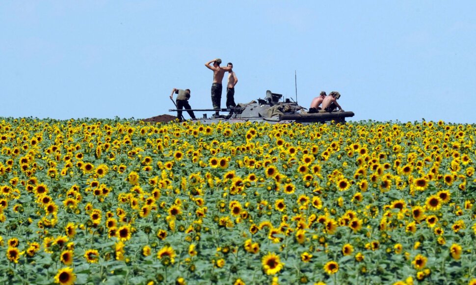 Ukrainos kariuomenė Rytų Ukrainoje