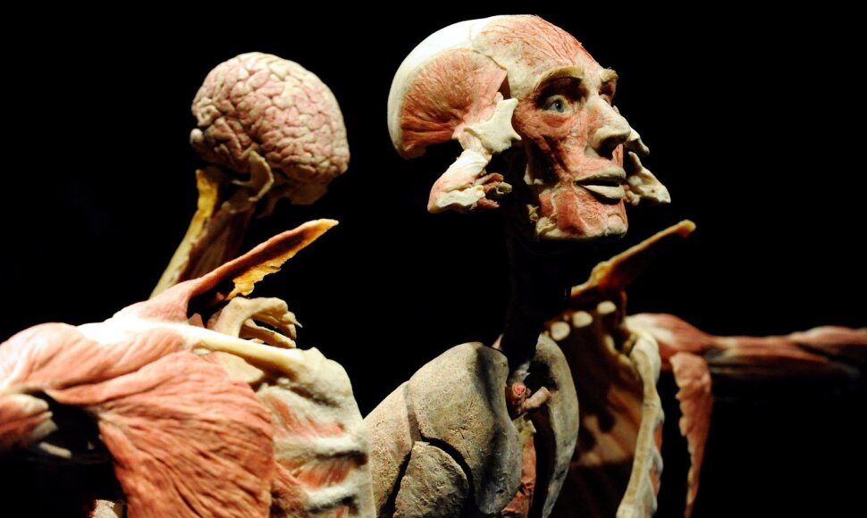 Žmogaus kūnų paroda &bdquo;Body Worlds Vital&ldquo;
