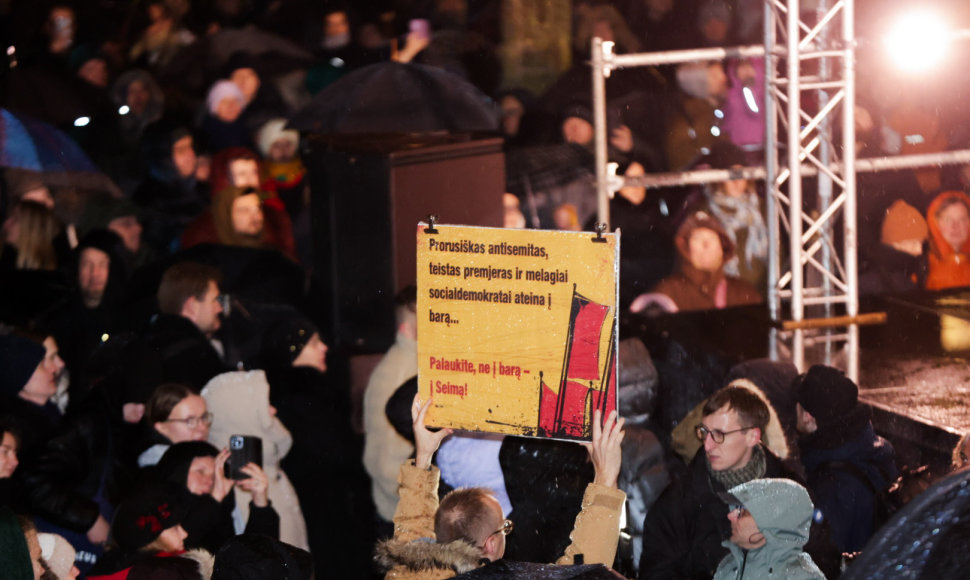 Protestas prie Seimo: „Dešimt tylos minučių" 