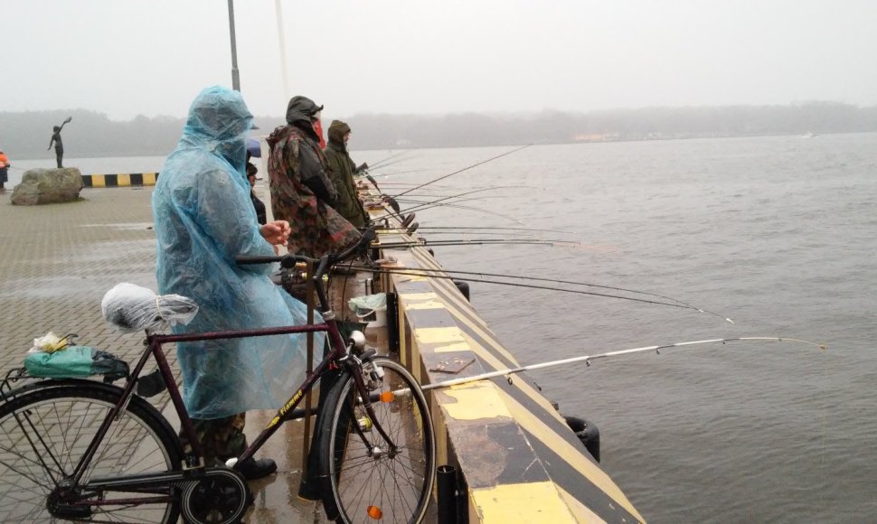 Žvejai šturmuoja Kuršmarių pakrantes – prasideda stintmetis