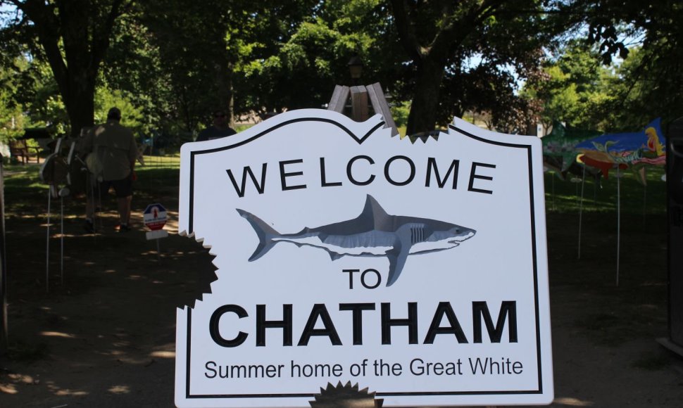 Miestelio centrinis parkas pasitinka su užrašu, primenančiu, jog Čatamas – „ryklių miestas"