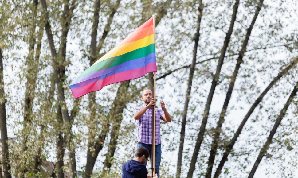 Vaivorykštės vėliavų dalybų akimirka