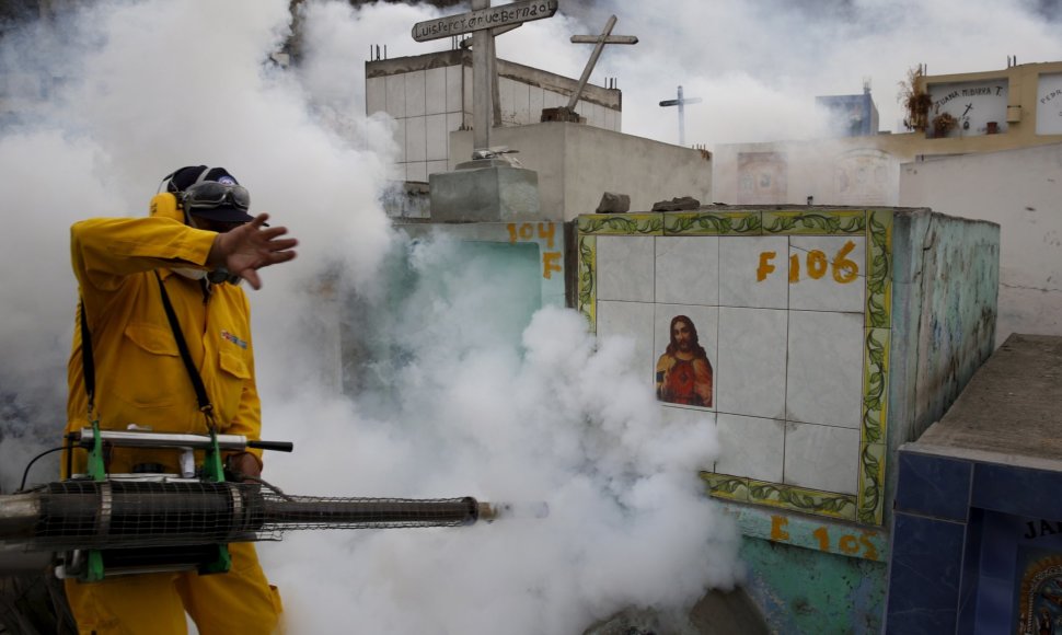 Darbininkai dezinfekuoja aplinką nuo Zika virusą pernešančių uodų
