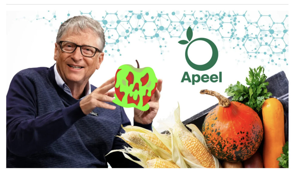 Melas, kad Billas Gatesas sugalvojo technologiją vaisiams bei daržovėms apsaugoti ir kad ji yra pavojinga
