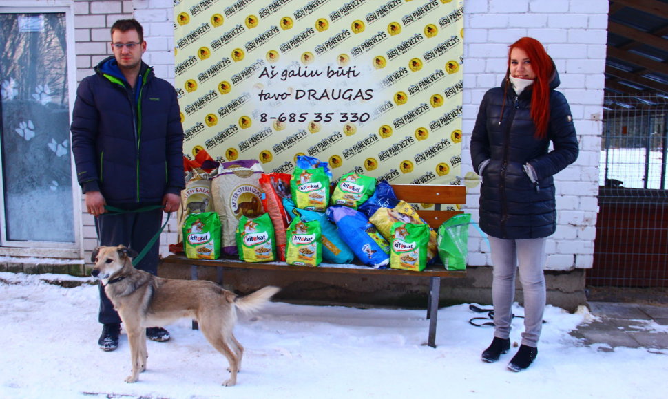 Panevėžio gyvūnų globos draugijos prieglaudoje