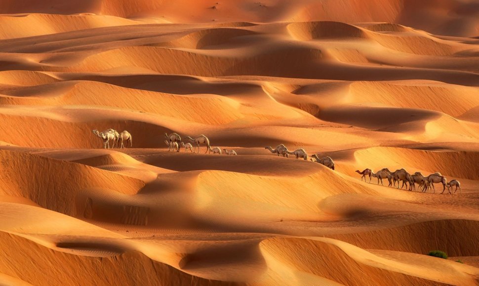 Dubajaus dykumos