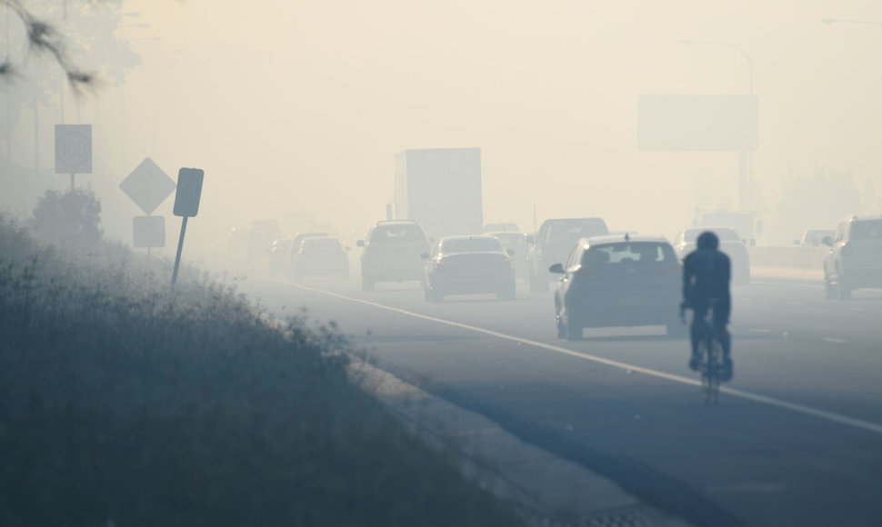 Sidnėjaus apylinkėse siaučia didžiulis krūmynų gaisras