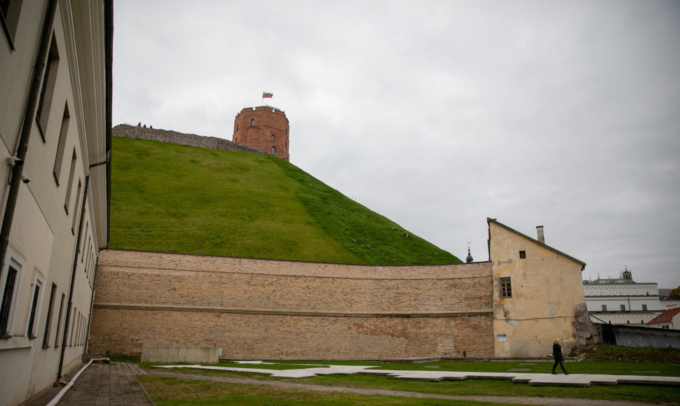 Gedimino kalno sutvarkymo projektavimo darbų eigos pristatymas