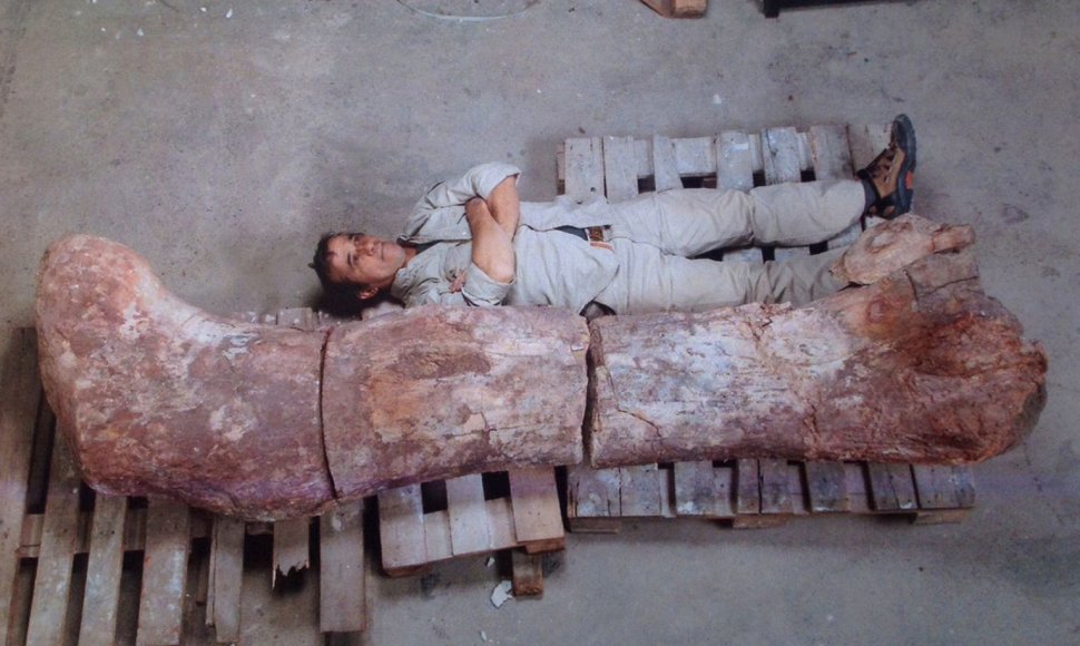 Atrastos didžiausio Žemėje gvenusio tiranozauro fosilijos