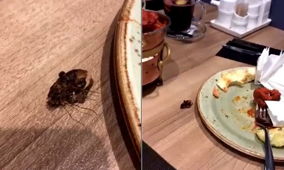 Vilniaus restorano „Gan bei city“ patiekale klientė aptiko tarakoną