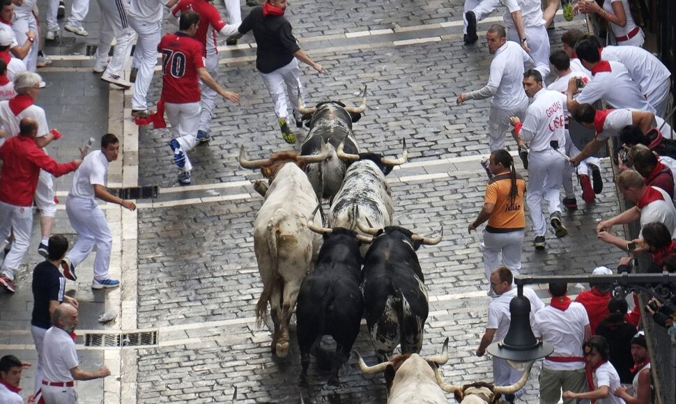 Pamplonos bulių lenktynės