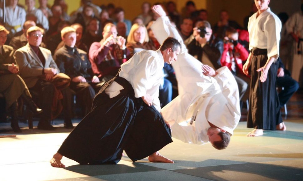 Aikido festivalio akimirka