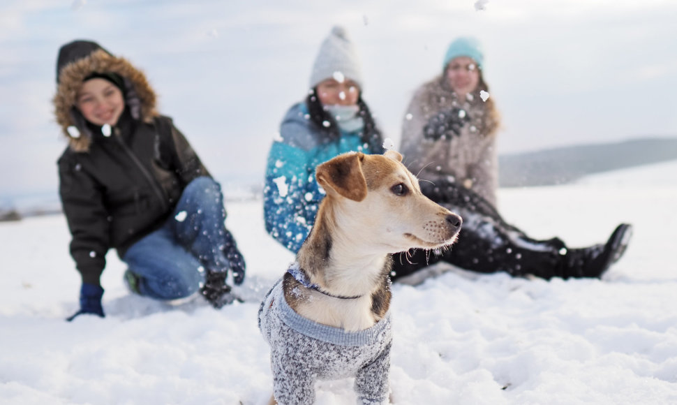 Vaikai su šuniuku lauke džiaugiasi žiema