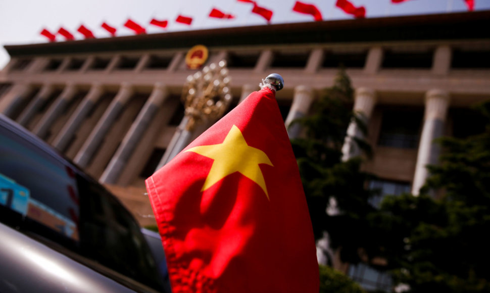 Vietnamo vėliava