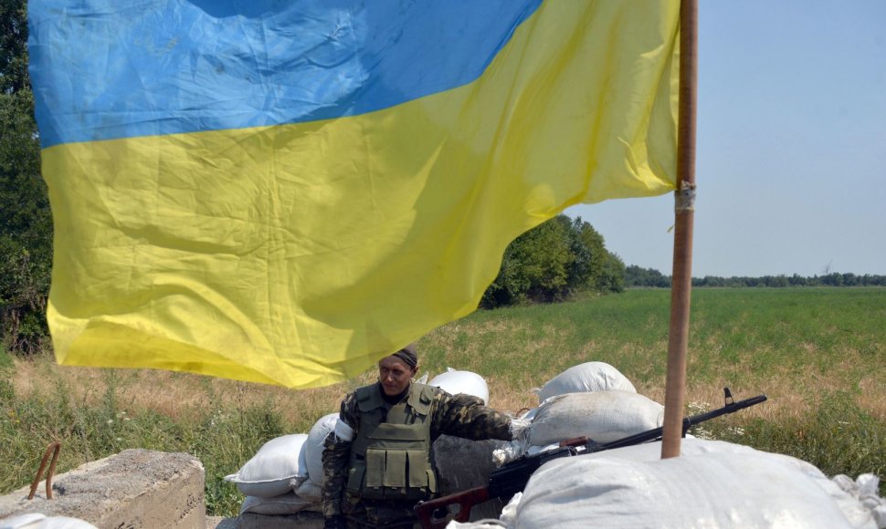 Ukrainos karys