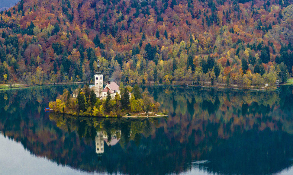 Bledo ežeras su bažnyčia saloje Slovėnijoje