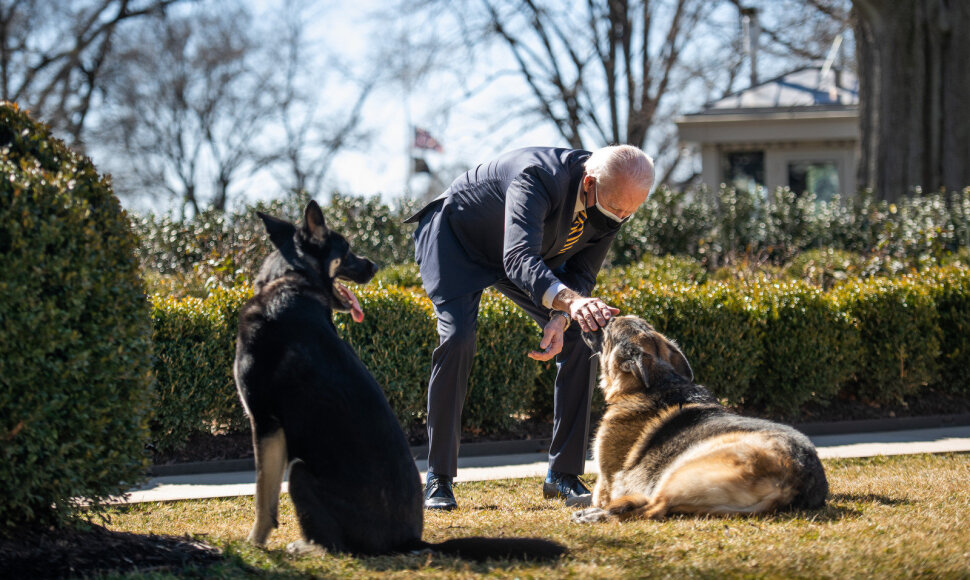Joe Bidenas su šunimis