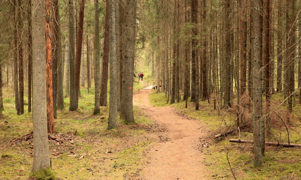 Vainagių miško pažintinis takas