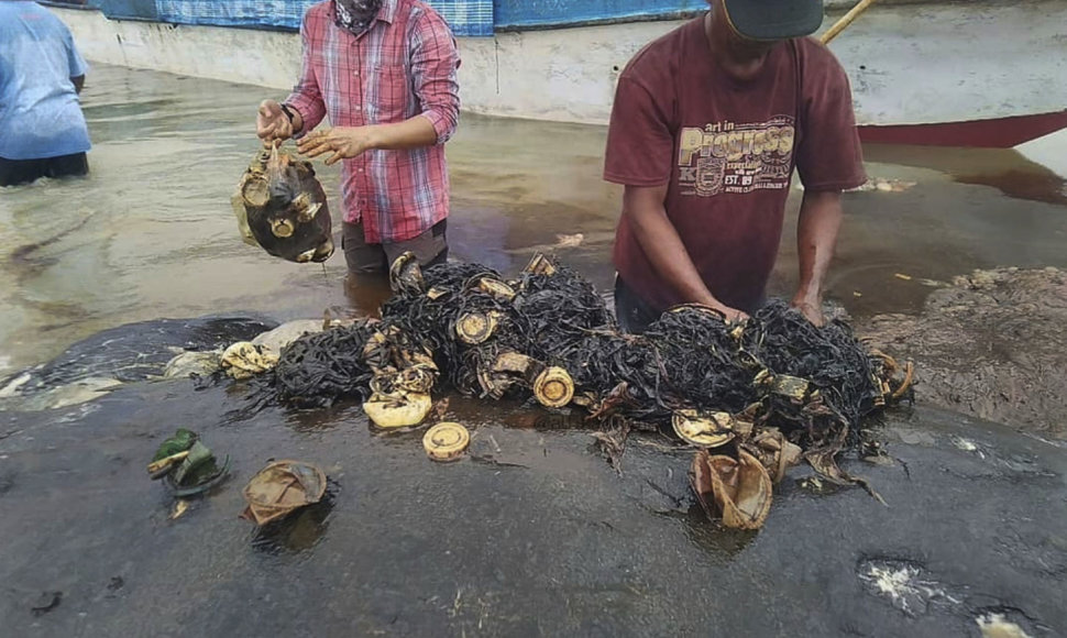 Ties Indonezijos krantu nugaišusio banginio skrandyje rastas plastikas: 6 kg įvairių šiukšlių ir vienkartiniai kavos indeliai