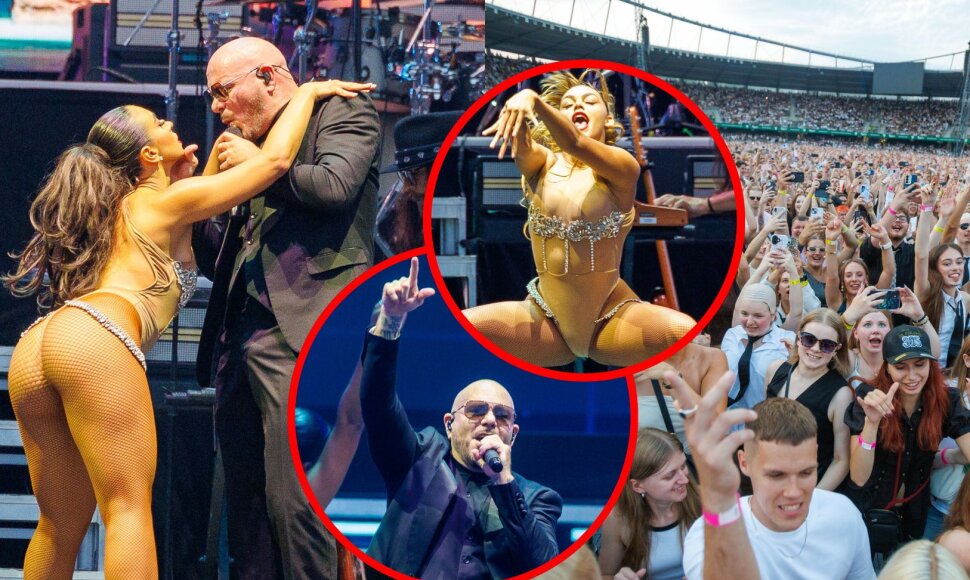 Pitbull