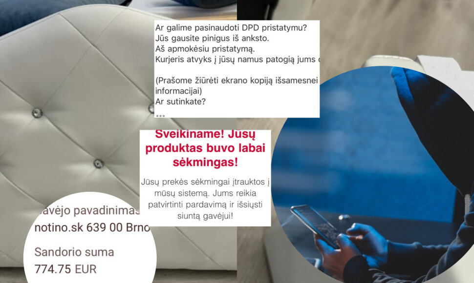 Sukčiai internete, afera
